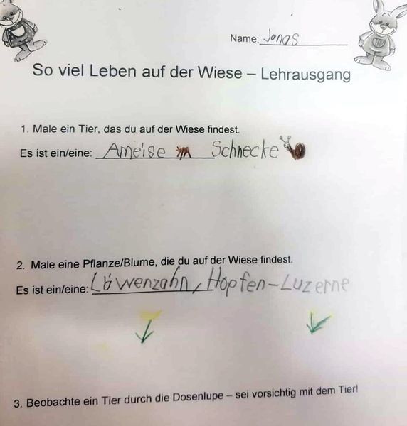 Bild 51