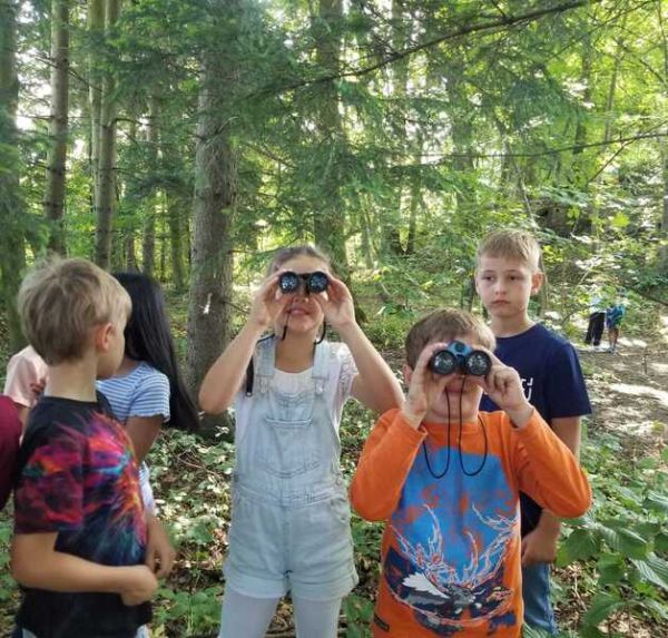 Wald10