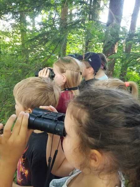Wald4