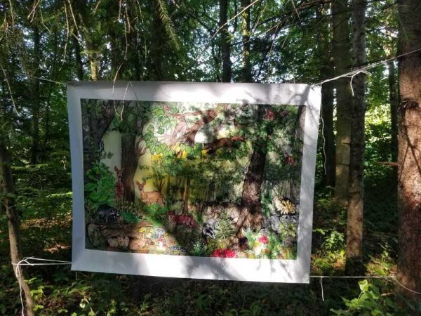 Wald5