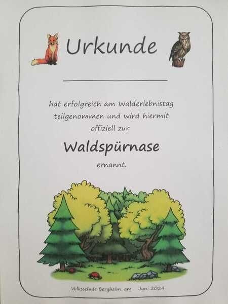 Wald7