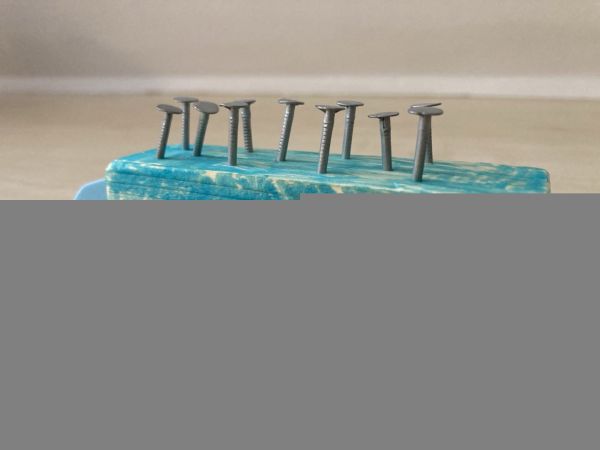 IMG 7181