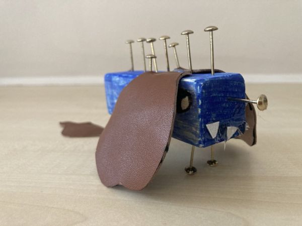 IMG 7188