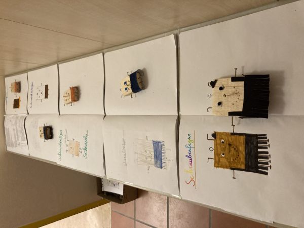 IMG 4549