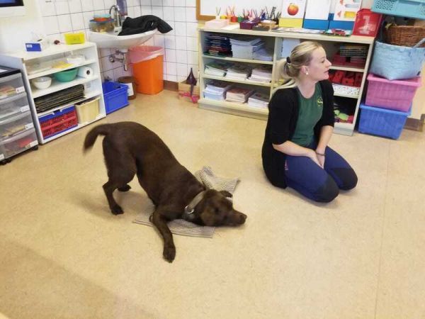 Hunde Haben Gefuhle