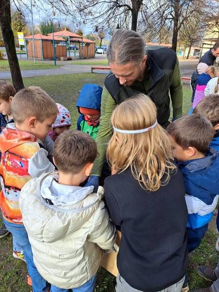 6678102f 3308 4628 A4a5 F909ef034774