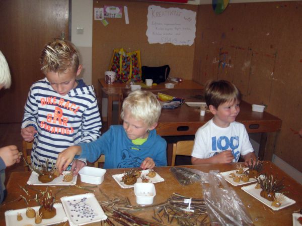 IMG 9864