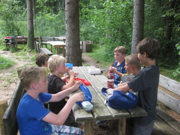 Img 3451