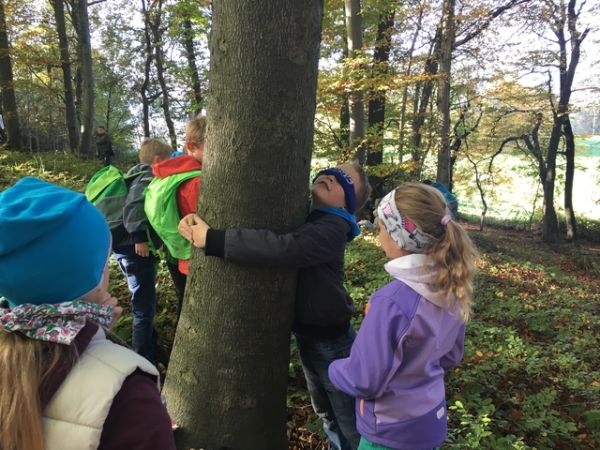 Wald3