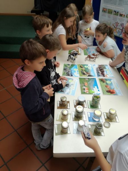 Img 20190523 104114